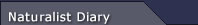 Sub Menu