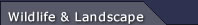 Sub Menu